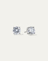 The Everyday Classic Studs