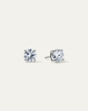 The Everyday Classic Studs