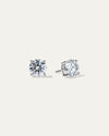 The Everyday Classic Studs