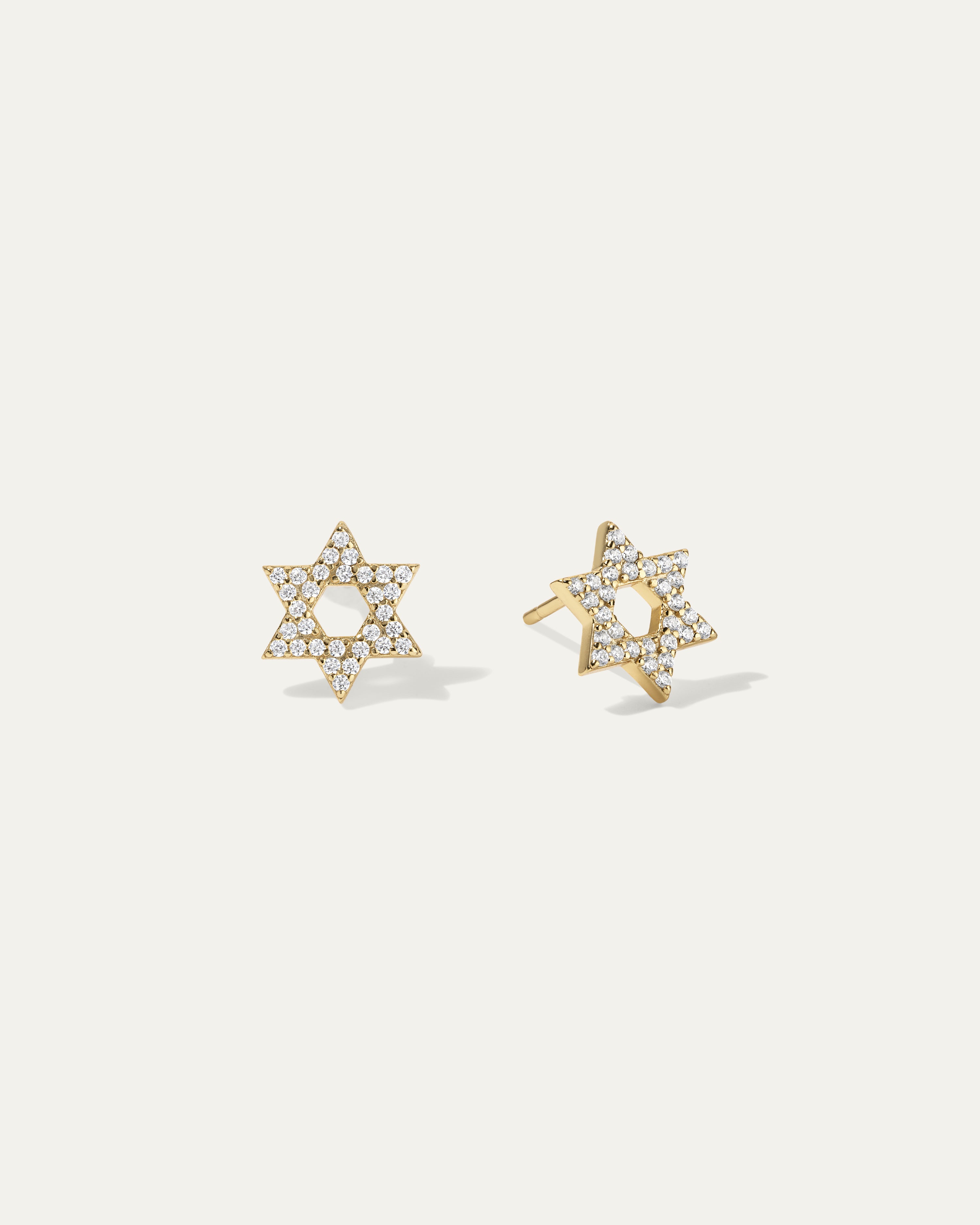 The Star of David Earrings