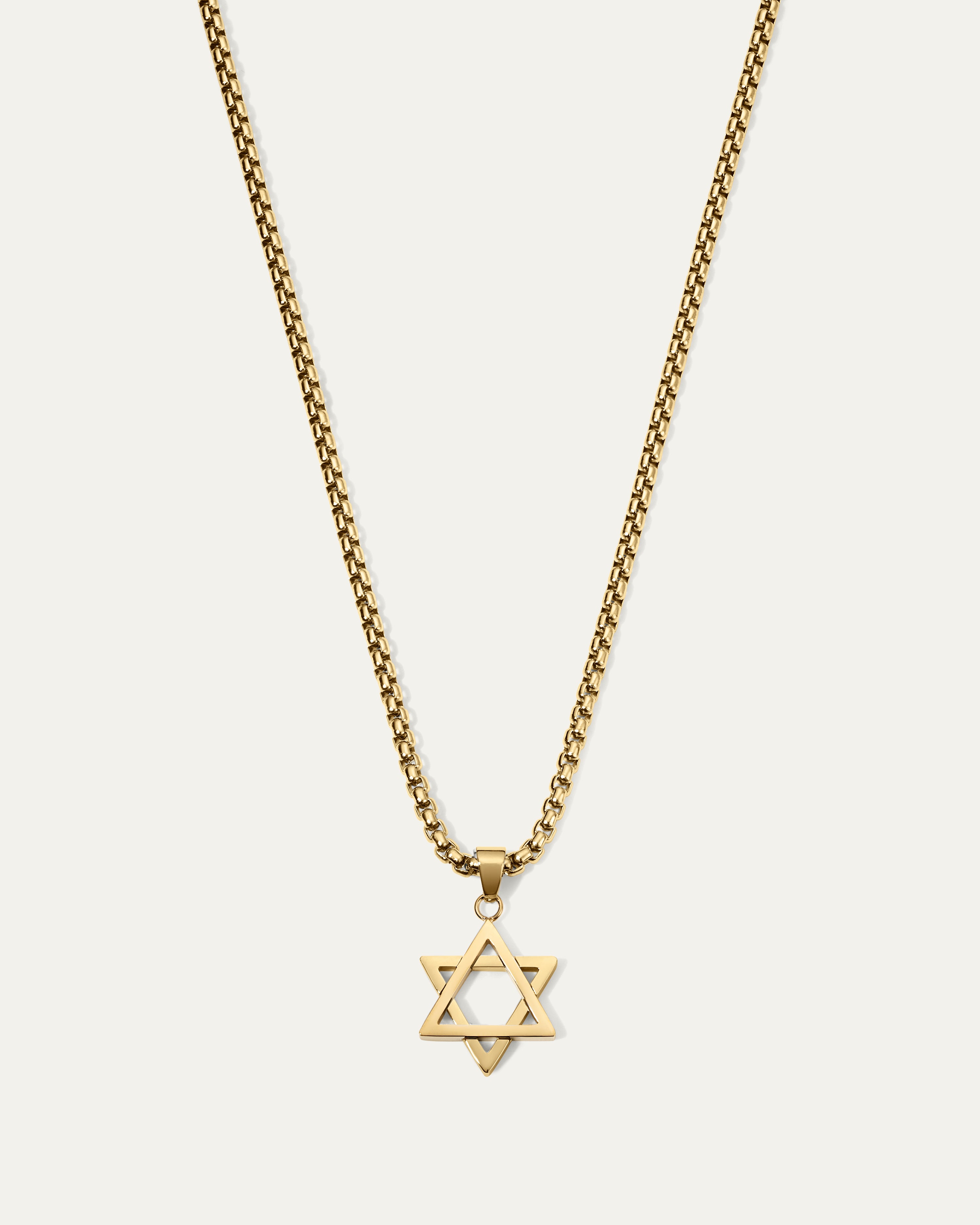 The Mr. Jane Star of David Necklace