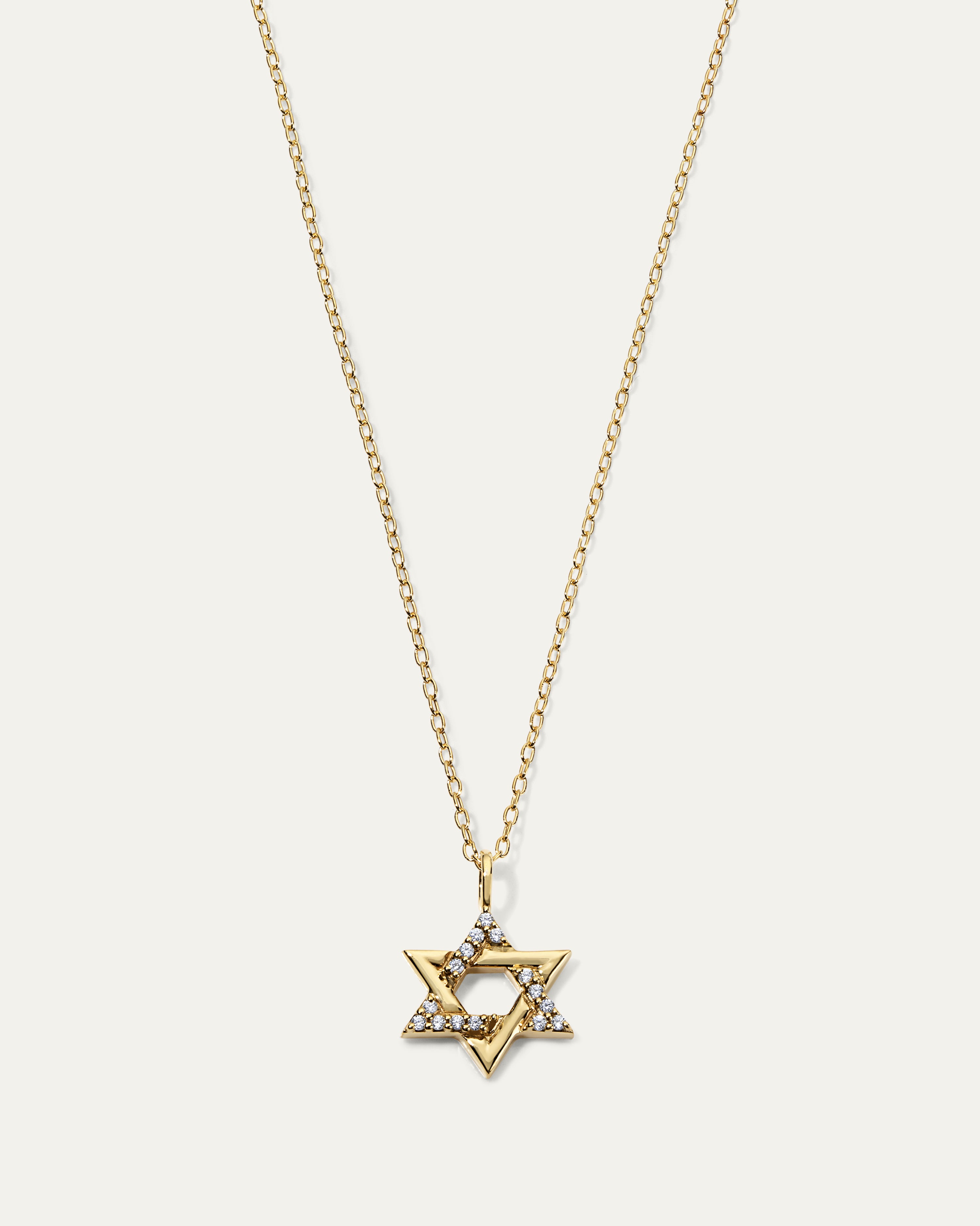The Star of David Necklace