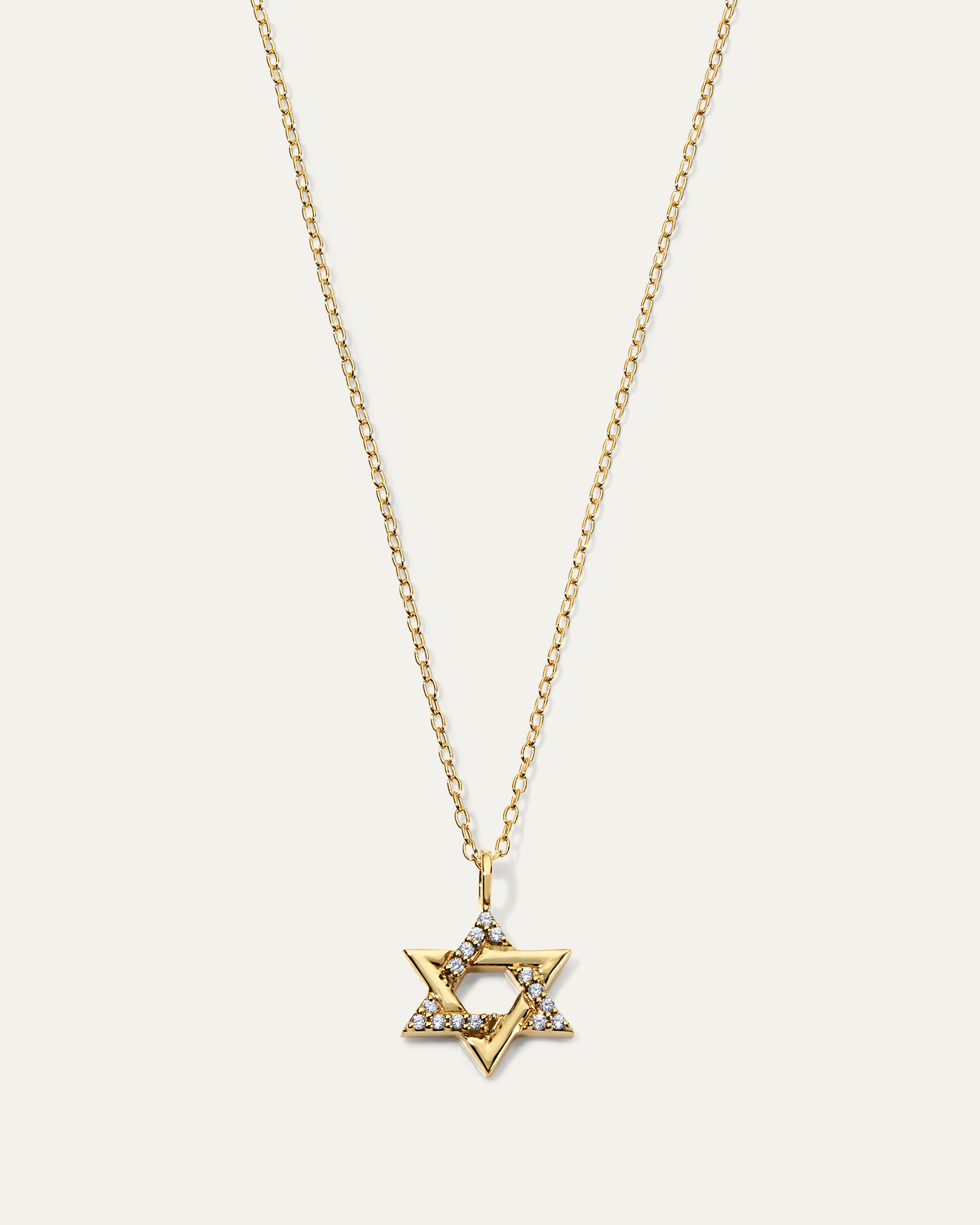 The Star of David Necklace