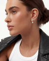 Jane Prestige™ Round & Pear Diamond Drop Earrings