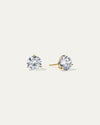 The Everyday Comfort Studs