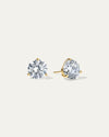 The Everyday Comfort Studs