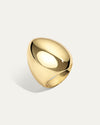 The Aviva Ring