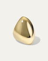 The Aviva Ring